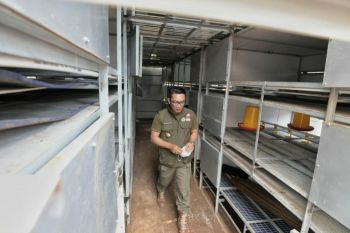 Apartemen Ayam untuk petani milenial