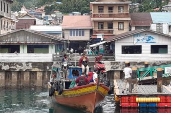 Menolak pasrah di tengah wabah COVID-19