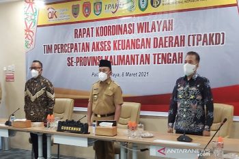 OJK dorong peningkatan peran industri jasa keuangan melalui TPAKD