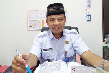 Waspadai hama dan penyakit masa tanam asep
