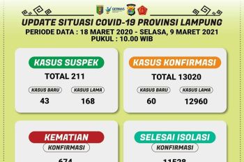 Pasien COVID-19 di Lampung bertambah 60 kasus total menjadi 13.020 orang