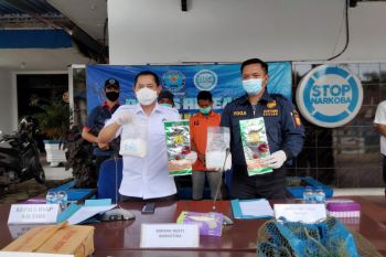 BNNP Kaltara berhasil meringkus dua kurir sabu