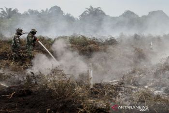 Kabut asap ancam pariwisata di Riau