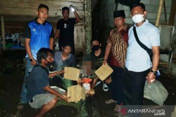 Buruh edarkan ganja, polisi sita barang bukti 3,5 kilogram ganja