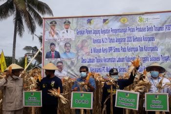 Pemprov Sulteng dorong petani  lakukan penangkaran benih jagung