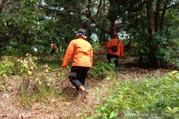 Lansia yang hilang di hutan Kolaka belum ditemukan setelah 3 hari pencarian