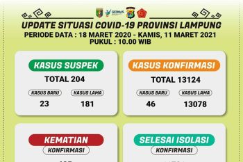 Dinkes catat total kasus COVID-19 di Lampung berjumlah 13.124