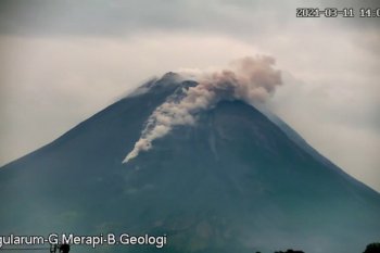 Mt. Merapi belches ash 1.2 km into the sky