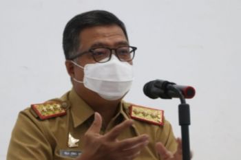 Ikan tuna jadi komoditas andalan Sulbar