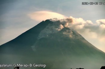 Awan panas Gunung Merapi pada Jumat pagi