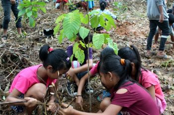 Pegiat lingkungan lestarikan tumbuhan di Kalteng melalui taman biodiversitas