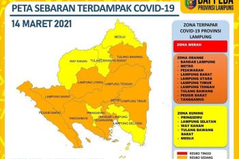Pasien COVID-19 di Lampung bertambah 48 kasus