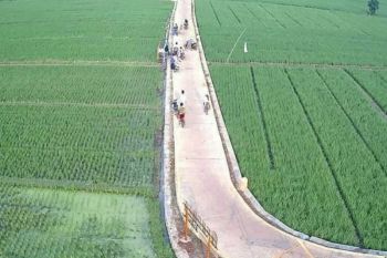 Pokdarwis GerebeQ Ayem Desa Mataram Baru buat wisata sawah