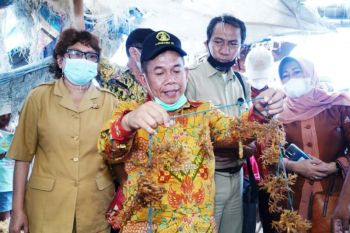 Pemkab Majene bertekad optimalkan sumber daya kelautan