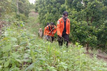 Basarnas tutup pencarian lansia di hutan Kolaka