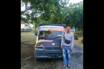 Enam ekor sapi selundupan diamankan Polsek KPL Pelabuhan Kayangan