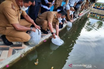 Pacu ekonomi warga saat pandemi COVID-19 lewat budidaya ikan air tawar