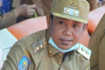 Pemkab Mamuju fokus untuk pulihkan ekonomi setelah gempa