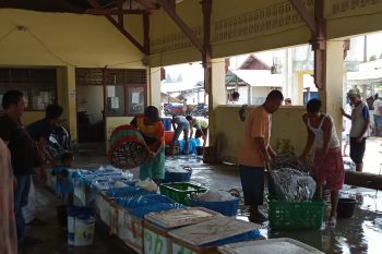 Hasil tangkapan nelayan di Agam berkurang