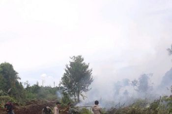 Tim gabungan masih padamkan karhutla di Pulau Padang