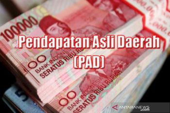 Realisasi PAD Pesisir Selatan sudah tercapai 23,16 %