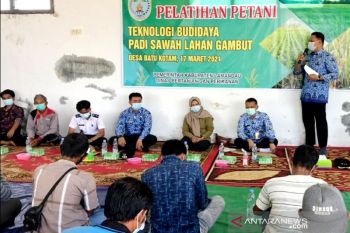 Pacu produksi padi sawah melalui peningkatan SDM petani Lamandau