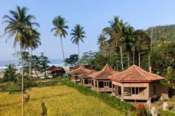 Pesisir Barat kembangkan wisata alam