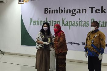 Wali Kota harap Kementan dapat latih anak milenial Bandarlampung bertani