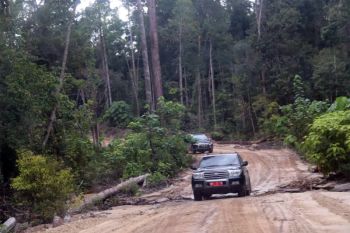 Jalan Muara Teweh - Palangka Raya dapat dilewati mobil kecil