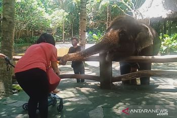 Kebun Binatang di NTB terapkan 5M dan promo tiket gratis.