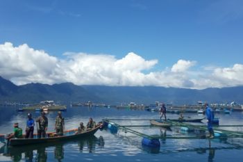 Ini alasan Pemkab Agam imbau petani tak menambah KJA di Danau Maninjau