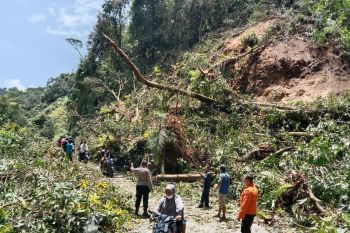 Jalan Pasaman-Pasaman Barat telah bisa dilewati kendaraan
