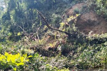 Jalan Pasaman-Pasaman Barat putus total