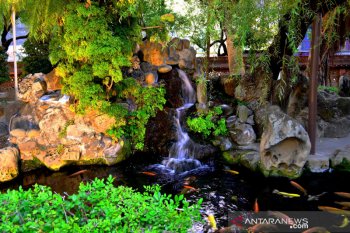 Pehobi ikan hias, ini tips rawat kolam