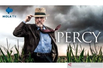 Diadaptasi dari kisah nyata, film "Percy" tayang eksklusif di Mola TV