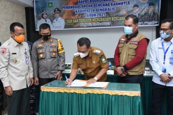 298 hektare lahan di Bengkalis terbakar selama 2021