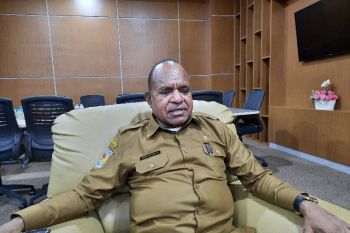 Pemprov Papua: Anggaran pelaksanaan PSU Pilkada Nabire disiapkan