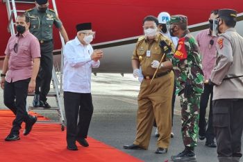 Wapres Ma'ruf Amin minta percepatan pelaksanaan vaksinasi di daerah