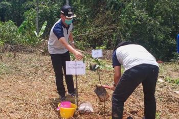 Peringati Hari Air Dunia, ratusan bibit pohon ditanam di Gumas