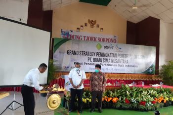 PT BCN Unit Bungamayang kejar produksi 56 ribu ton gula