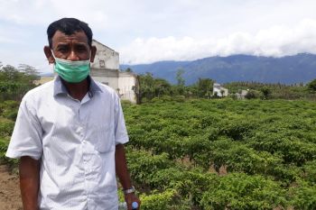Petani Sigi minta Pemkab bangun sumur dangkal untuk kelancaran bertani