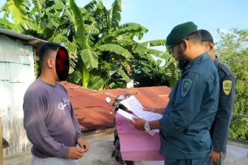 Tim Gakkum KLHK Sulawesi tahan pemilik 190 batang kayu ilegal