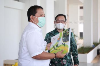 Puslitbang Perkebunan dukung percepatan pengembangan tanaman lada dan kopi di Lampung