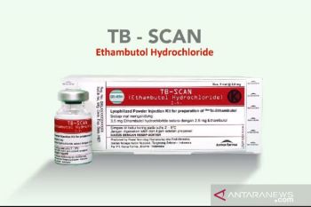 Indonesia set to forge forward in TB handling amid COVID-19 pandemic