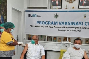 PLN NTT vaksinasi ratusan pegawai untuk keamanan pelayanan