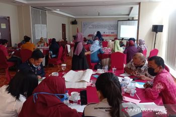 DP3A Sulteng tingkatkan kapasitas pokja maksimalkan perlindungan perempuan dan anak