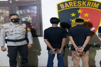Kedapatan bawa ganja saat razia di lapo tuak, dua pemuda diringkus