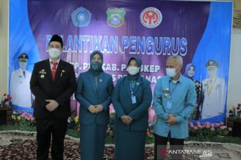 Bupati Pangkep berharap Pengurus TP PKK-Dekranasda berperan dalam pembangunan