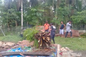 Satu rumah di Lubukbasung Agam rusak tertimpa pohon