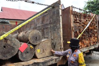 Polda Kalteng tangkap Dirut PT KAB diduga garap kawasan HPK tanpa izin